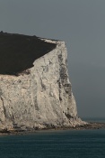 Křídové White Cliffs of Dover