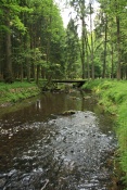Chřibská Kamenice u Dolní Chřibské