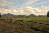 Všemilská planina a Studenec, Javor, Větrný vrch 