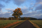 Ranní slunce nad Růžovou