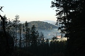 Ranní opar nad Jetřichovicemi