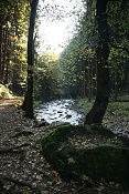 Pavlino údolí a Chřibská Kamenice