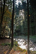 Podzimní slunce a Chřibská Kamenice