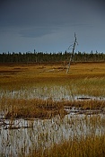 Rezervace Ilmakkiaapa