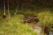 Rezervace Ilmakkiaapa