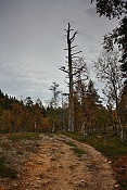 Národní park Urho Kekkonena u Saariselkä