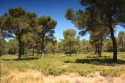Pustina u La Bécude
