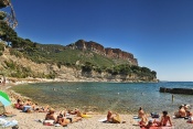 Cassis