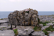Národní park Burren