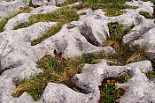 Národní park Burren