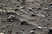 Černá pláž Reynisfjara u vesnice Vík í Mýrdal