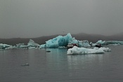 Jezero Jökullsárlón 