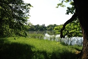Zámecký park Lednice 