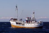 Vyhlídková loď Velrybího safari M/S Reine (délka 28,5 m, 80 pasažérů).  Åndenes(N)
