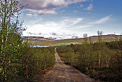 Hjerkinn a NP Dovrefjell 