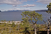 Sagfjorden
