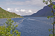 Sløverfjorden