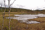 NP Børgefjell