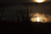 Měsíčná noc nad Horním rybníkem. Mařeničky