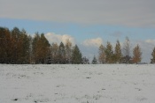 Farský kopec