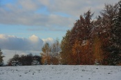 Farský kopec