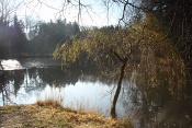 Rybník Polekanec