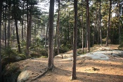 Toulovcovy maštale