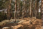 U Kolumbova vejce