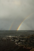 Goksøyr, ostrov Runde