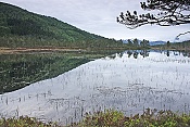 Údolí Vikdalen