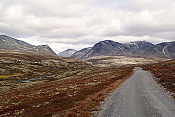 NP Rondane