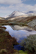 NP Rondane