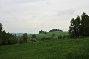 Pohled od Českých Petrovic