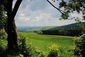 U Neratova