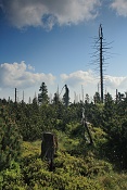 Pod Tetřevcem