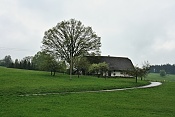 titulni