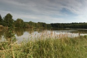 Čekalův rybník (Sovek). Těšenov