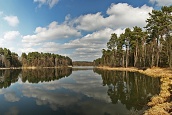 Novodvorský rybník. Ploužnice