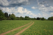 Kozinec