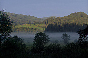 Rakousko - Rezervace Hörfeld Moor