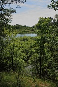 Novodvorský rybník IV