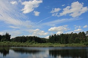 Novodvorský rybník IV