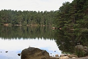 Loch Garten