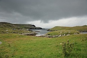 Nibon. Shetlandy