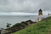 Palmy na Mull of Kintyre