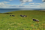 Kilchousland Farm, Kintyre