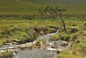 Řeka Allt Coir´a´ Mhadaidh a vodopády Fairy Pools, Skye