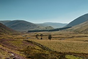 Údolí Glen Clunie, Cairngorm