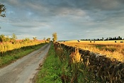 U farmy North Riddingwood