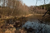 Sladovský rybník na potoku Boží voda. Loučeň